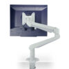 Desk Monitor Stand - Monitor Arm CPA11W